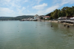 DSCN5274