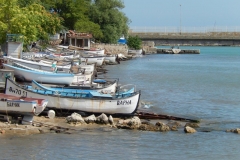 DSCN5279