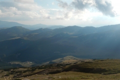 DSCN5847