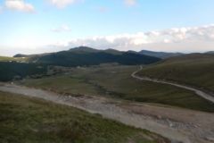 DSCN5856