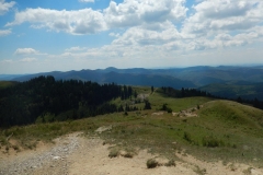 DSCN5868