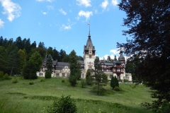 DSCN5882