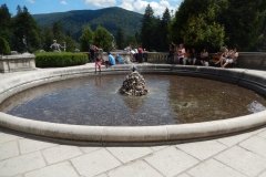 DSCN5891