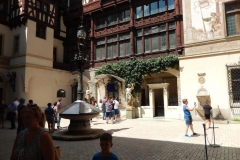 DSCN5897