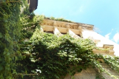 DSCN5905