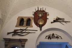 DSCN5930
