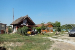 DSCN4804