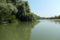 DSCN4828