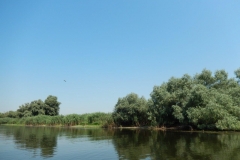 DSCN4873