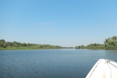 DSCN4883