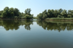 DSCN4887