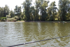 DSCN4923