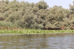 DSCN4928