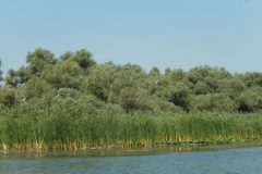 DSCN4935