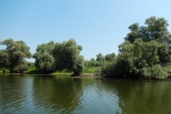 DSCN4937