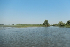 DSCN4984