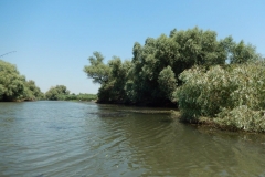 DSCN4996