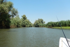 DSCN5001