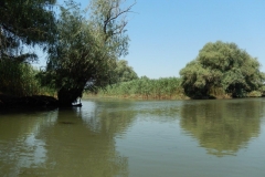 DSCN5012