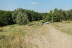 DSCN5425