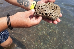 IMG-20190731-WA0008