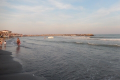 DSCN5217