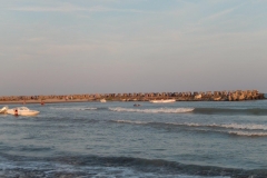 DSCN5224