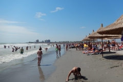 DSCN5342